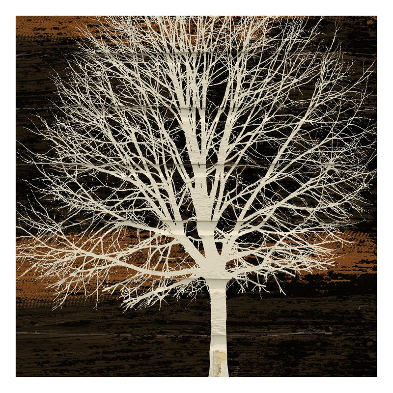 Diane Stimson, NIGHT TREE (LANDSCHAFT)