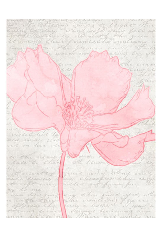 Taylor Greene, LOVELY PINK II (Blume, Blüte, Zeichnung, filigran, zart,Kalligrafie, Schrift, zeitgenössisch, Wunschgröße, Wohnzimmer, Schlafzimmer, Treppenhaus, grau/rosa)