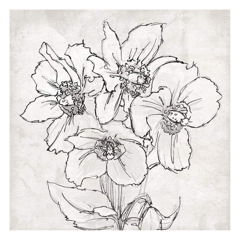 Onrei, SKETCH (BLUMEN)