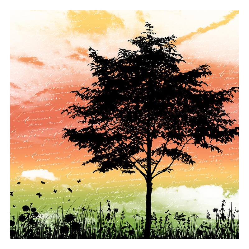 Jace Grey, SUNSET I (Baum, Silhouetten, Wiese, Gräser, Wiesenblumen, Kalligrafie, Fotokunst, filigran, Wunschgröße, Wohnzimmer)