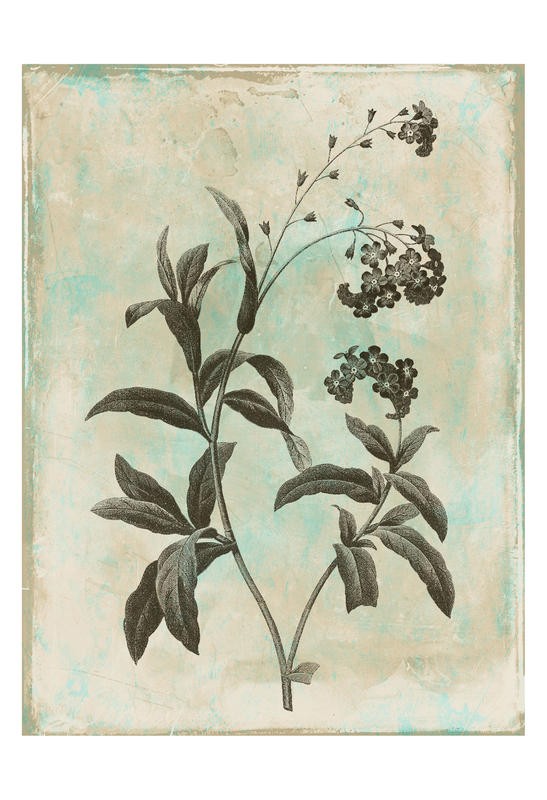 Jace Grey, EARTHY FLORAL GREEN IV (Blüten, Blätter, Botanik, Blume, Studie, stilisiert, Wunschgröße, Treppenhaus, Esszimmer)