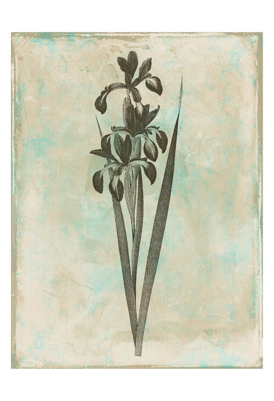 Jace Grey, EARTHY FLORAL GREEN II (Blüten, Blätter, Botanik, Blume, Studie, stilisiert, Wunschgröße, Treppenhaus, Esszimmer)