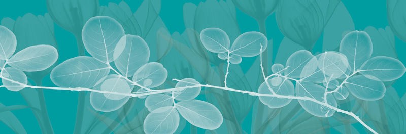 Albert Koetsier, TURQUOISE PANEL II (X-RAY)