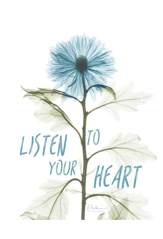 Albert Koetsier, TO YOUR HEART I (X-RAY)