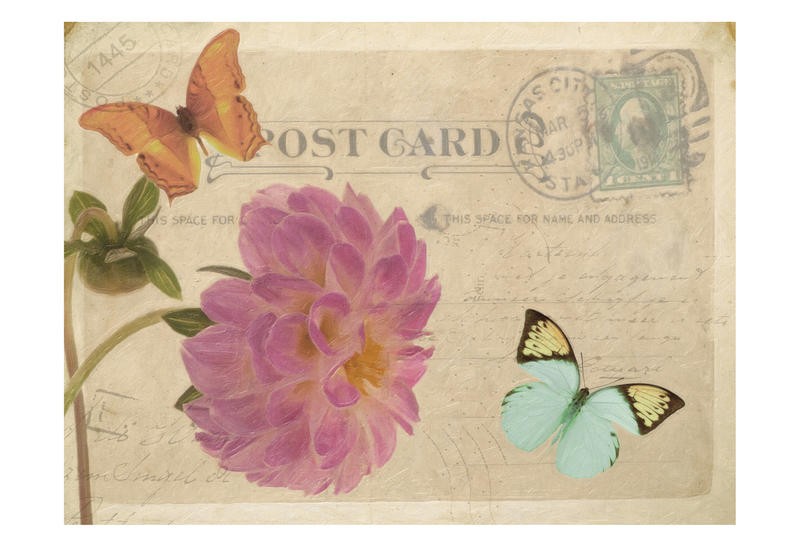 Taylor Greene, VINTAGE POSTCARD II (Postkartenmotiv, Blume, blüte, Schmetterlinge, romantisch, Vintage, Nostalgie, Grafik, Wunschgröße, Treppenhaus, Wohnzimmer)