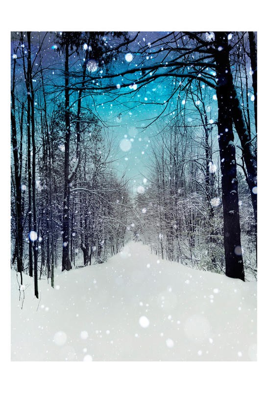 Tracey Telik, SNOWHERE (Bäume, Allee, Straße, Schnee, Schneeflocken, verschneit, Winter, Jahreszeit, Silhouetten, Fotokunst, Wunschgröße, Wohnzimmer, Schlafzimmer,)
