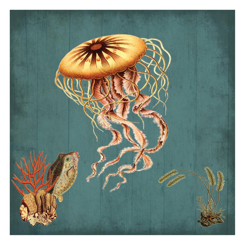 Sheldon Lewis, JELLYFISH I (Fisch, Korrallenfisch, Qualle, Tentakeln,maritim, Meerestiere, Grafik, Badezimmmer, Treppenhaus, Wunschgröße, bunt)