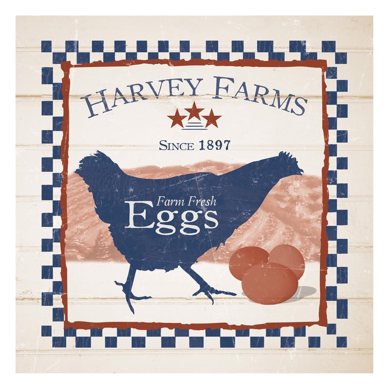 Diane Stimson, HARVEY FARMS EGGS II (KÜCHE)