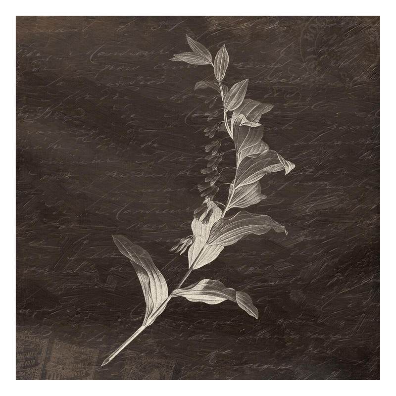 Jace Grey, LOVELY I (BOTANIK)