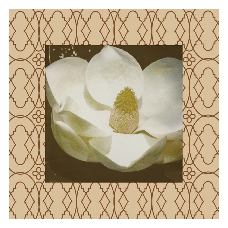 Jace Grey, BROWN BORDER I (BLUMEN)