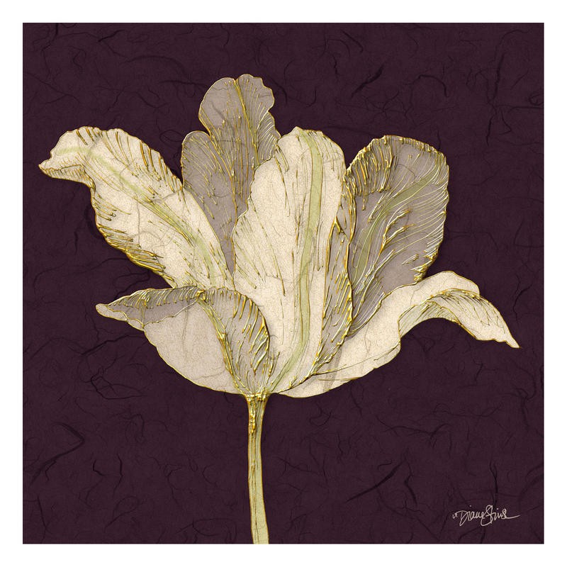Diane Stimson, TULIP WITH BLACK (BLUMEN)