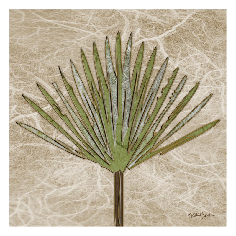 Diane Stimson, PALM FROND (ASIEN + AFRIKA)