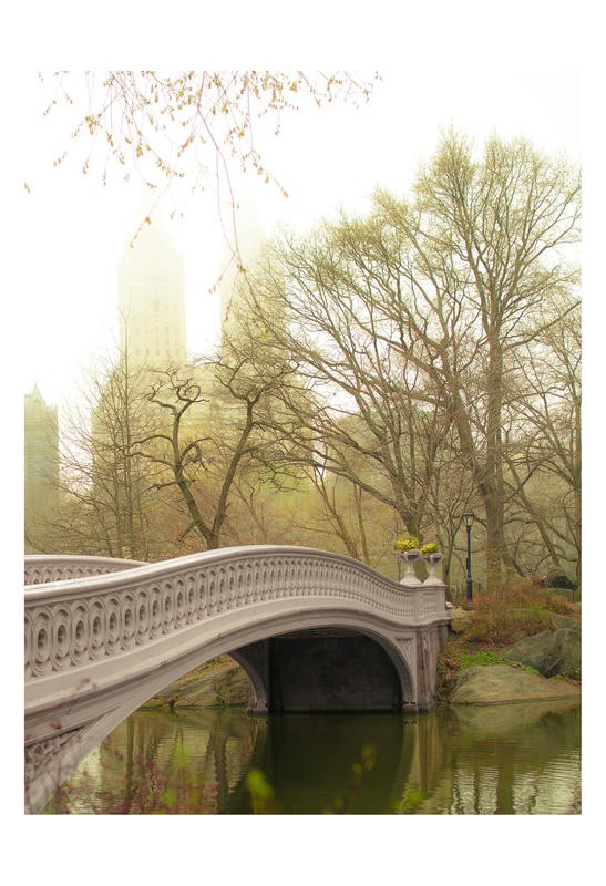Tracey Telik, JUMPER II (Park, Hide Parc, New York, Städte, Brücke, Bäume, Skyline, Nebel, Dunst, Fotokunst, Wunschgröße, Wohnzimmer)