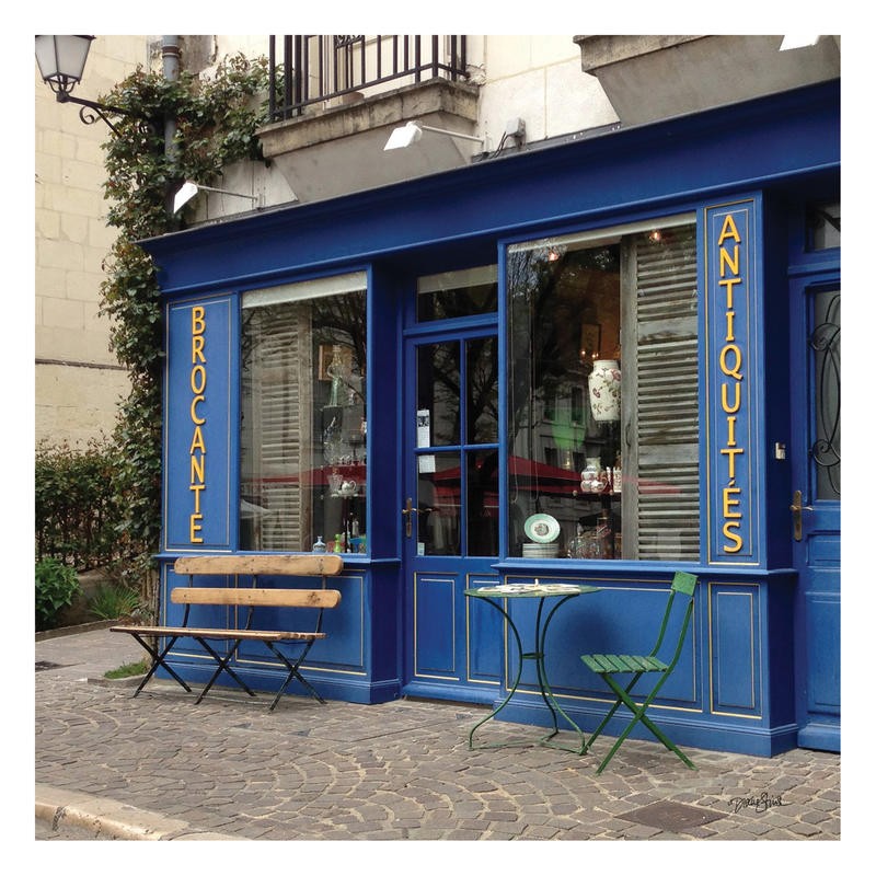 Diane Stimson, BROCANTE (FOTOGRAFIE)