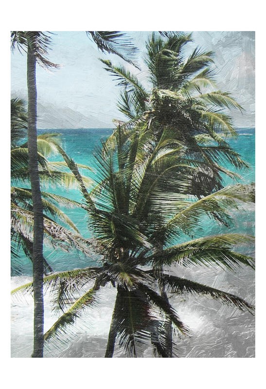 Sheldon Lewis, COCONUT II (Palme, Strand, Meer, Meeresbrise, Wind, Fotokunst, Treppenhaus, wohnzimmer, Wunschgröße, bunt)