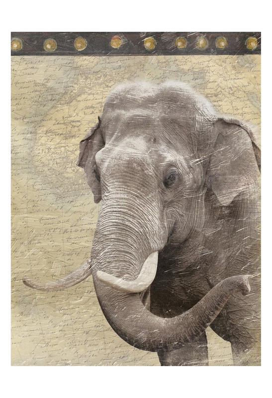 Jace Grey, MAP WITH ELEPHANT II (TIERE)