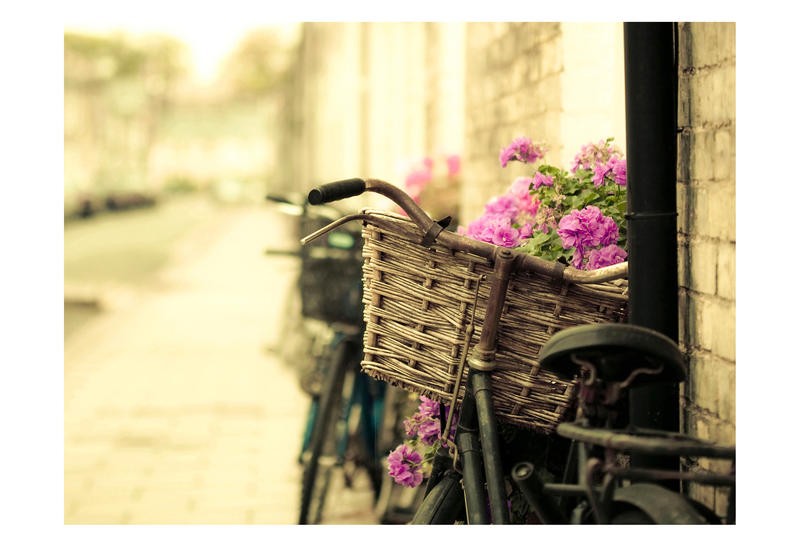 Tracey Telik, FLOWERS (Fahrrad, Fahrradkorb, Flechtwerk, Straße, diffus, Dunst, Fotokunst, Wunschgröße, Wohnzimmer)