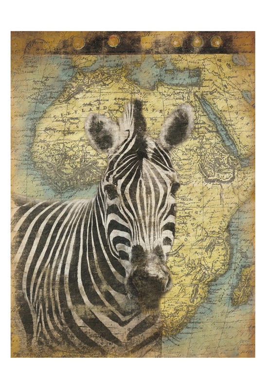 Jace Grey, MAP WITH ZEBRA II (TIERE)