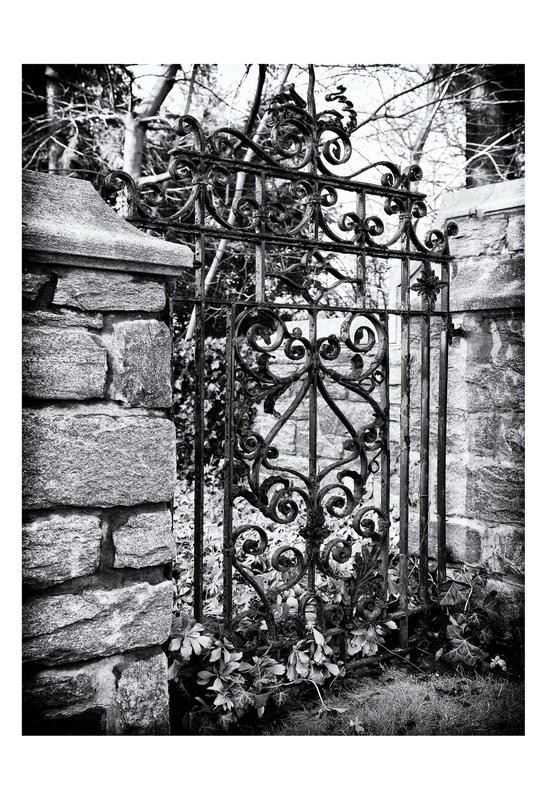 Sandro De Carvalho, GATED VIEW IV (Eisengitter, Schmiedeeisen, Durchblick, Garten, Nostalgie, Schnörkel, Architektur, Wohnzimmer, Treppenhaus Schlafzimmer, Fotokunst, Wunschgröße, schwarz/weiß)