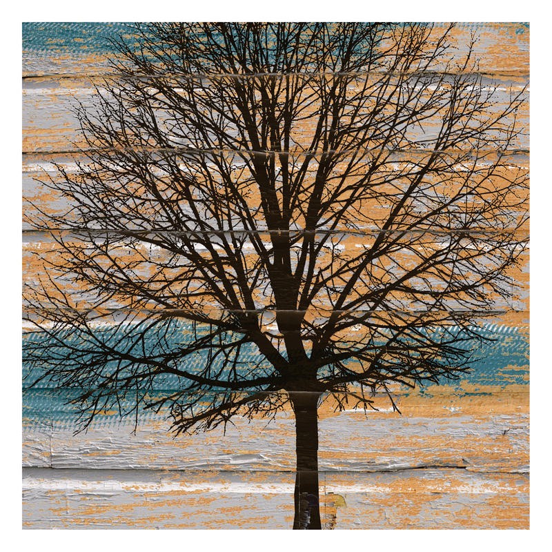 Diane Stimson, DAY TREE (LANDSCHAFT)