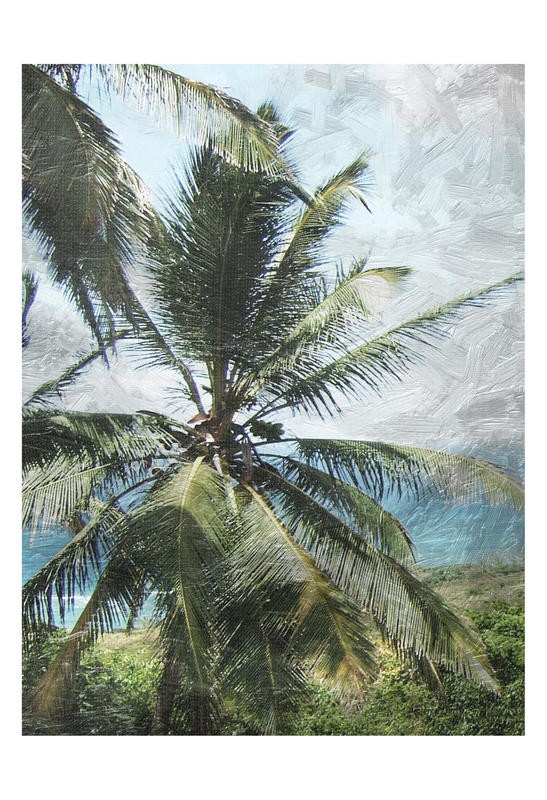 Sheldon Lewis, COCONUT I (Palme, Strand, Meer, Meeresbrise, Wind, Fotokunst, Treppenhaus, wohnzimmer, Wunschgröße, bunt)