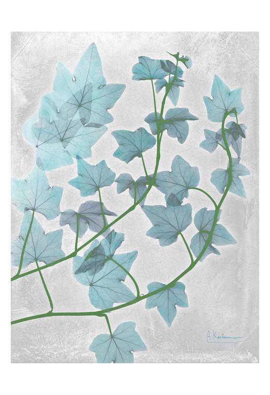 Albert Koetsier, BRANCHES IN BLUE I (X-RAY)