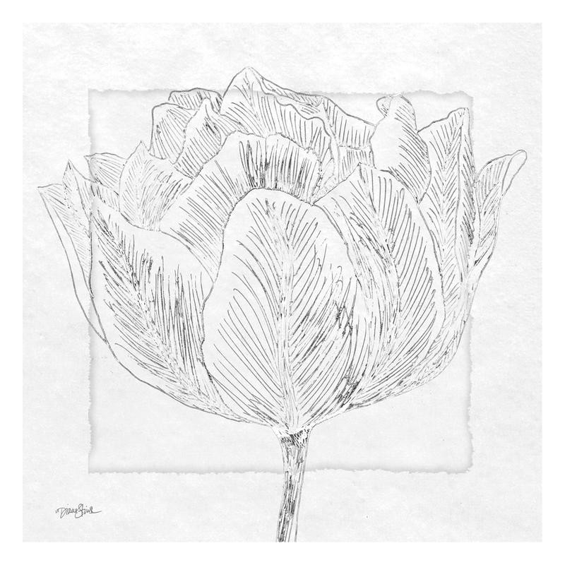 Diane Stimson, TULIPA I (COLOR YOUR OWN)