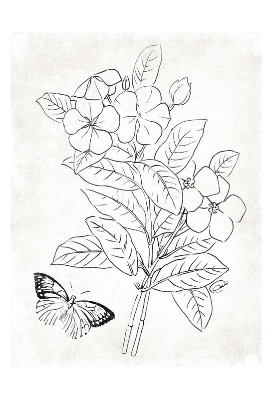 Onrei, FLORAL BREEZE OUTLINE (BLUMEN)