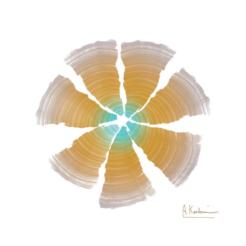 Albert Koetsier, RINGS ORANGE II (X-RAY)