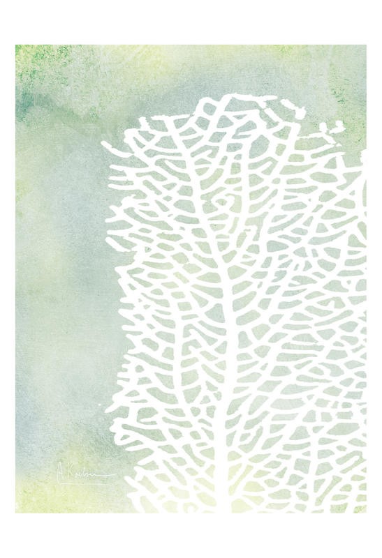 Albert Koetsier, SEA GRASS WHITE II (X-RAY)