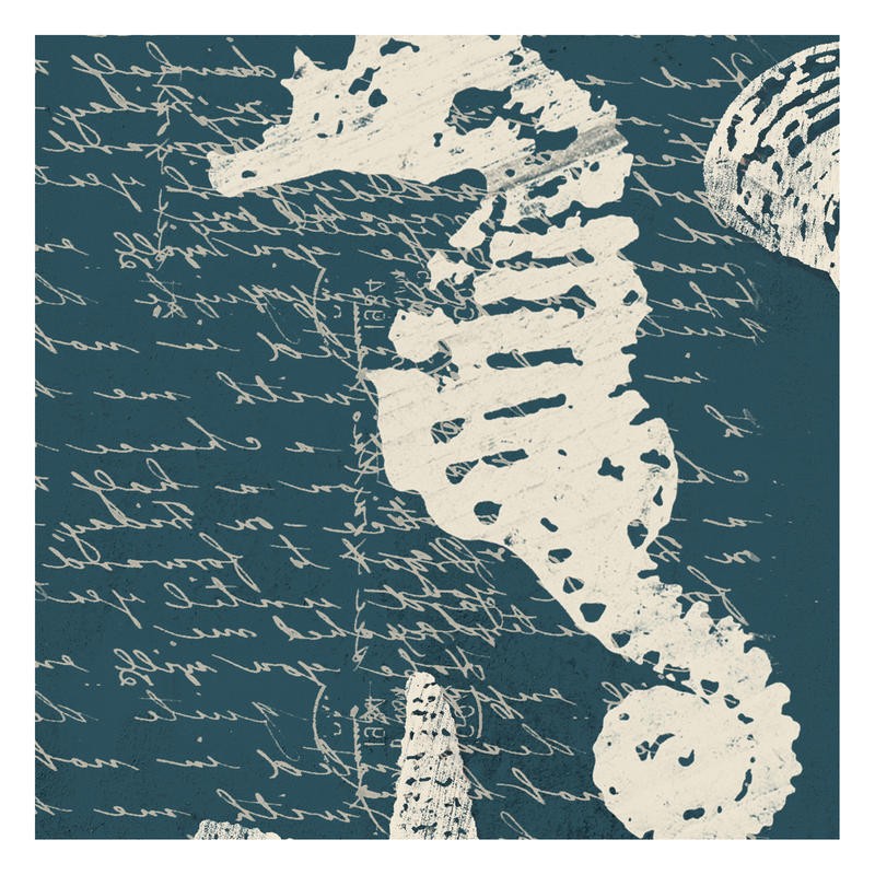 Cynthia Alvarez, SEASIDE NOTES II (Seepferdchen, maritim, Grafik, Kaligrafie, Moderne Kunst, Wohnzimmer, Treppenhaus, Badezimmer, Wunschgröße, blau/weiß)