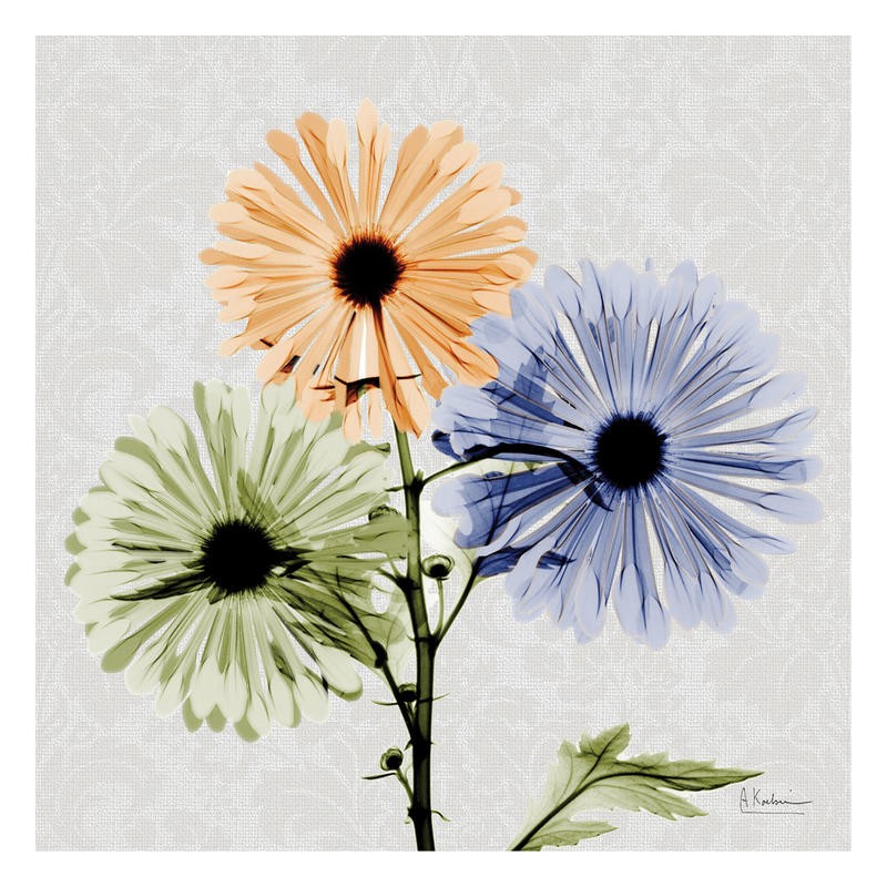 Albert Koetsier, MULTI FLOWERS I (X-RAY)