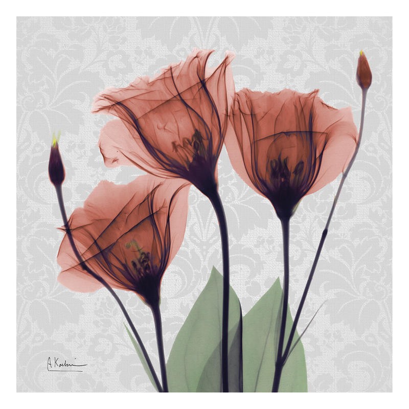 Albert Koetsier, FLOWERS IN RED III (X-RAY)