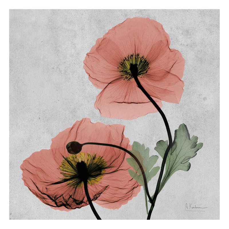 Albert Koetsier, FLOWERS IN RED V (X-RAY)