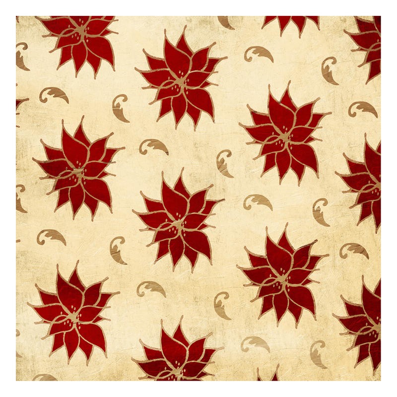 Jace Grey, POINSETTIA GOLD (BLUMEN)