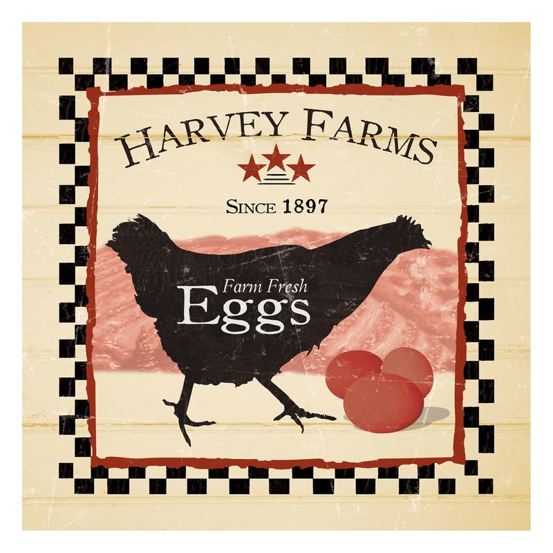 Diane Stimson, HARVEY FARMS EGGS III (KÜCHE)