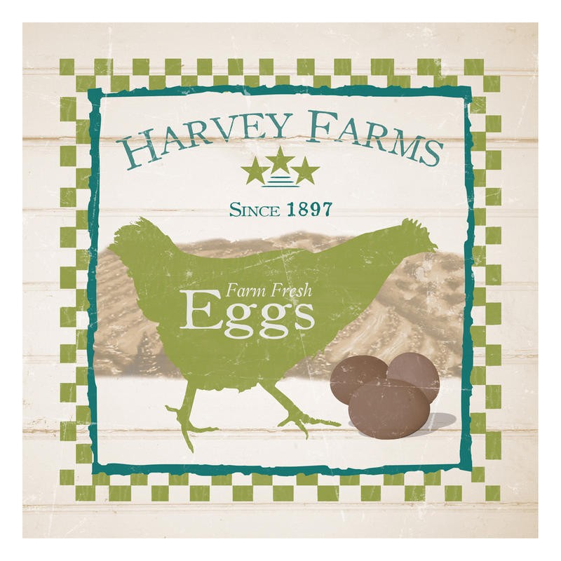 Diane Stimson, HARVEY FARMS EGGS I (KÜCHE)