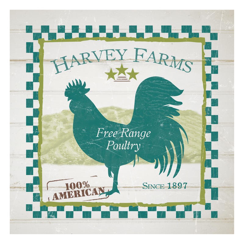 Diane Stimson, HARVEY FARMS POULTRY III (KÜCHE)