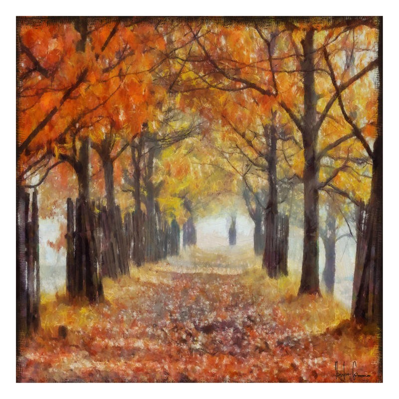 Taylor Greene, AMBER TRAIL (Landschaft, Herbst, Jahreszeit, Allee, Blätter, Fotokunst, unscharf, herbstfarben, Wunschgröße, Wohnzimmer, goldbraun)
