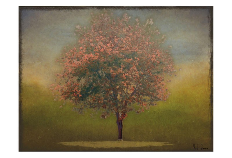 Taylor Greene, INDIAN SUMMER SILHOUETTE (Landschaft, Herbst, Jahreszeit, Baum,  Fotokunst, unscharf, herbstfarben, Wunschgröße, Wohnzimmer)