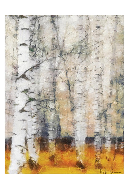 Taylor Greene, BIRCH I (Wald, Bäume, Birken, Stämme, dicht, Wunschgröße, Treppenhaus, Wohnzimmer)