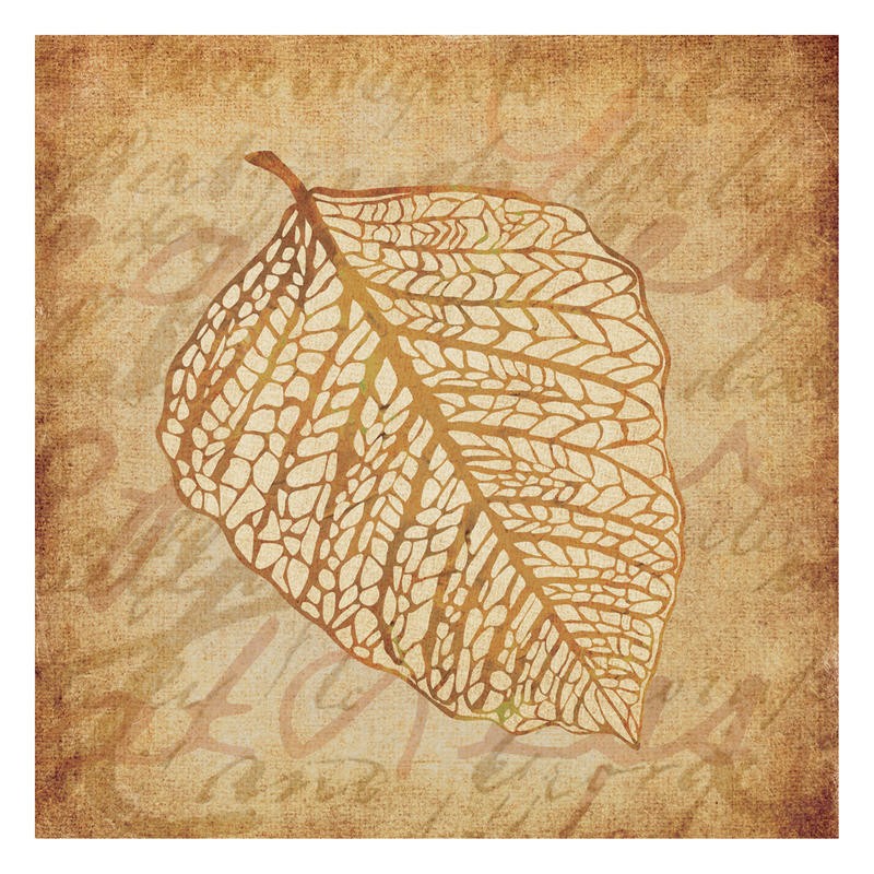 Kristin Emery, GOLD LEAVES I (Muster, floral, Blatt, Studie, Botanik, Grafik,  modern, zeitgenössisch, Wohnzimmer, Treppenhaus, Wunschgröße, beige)