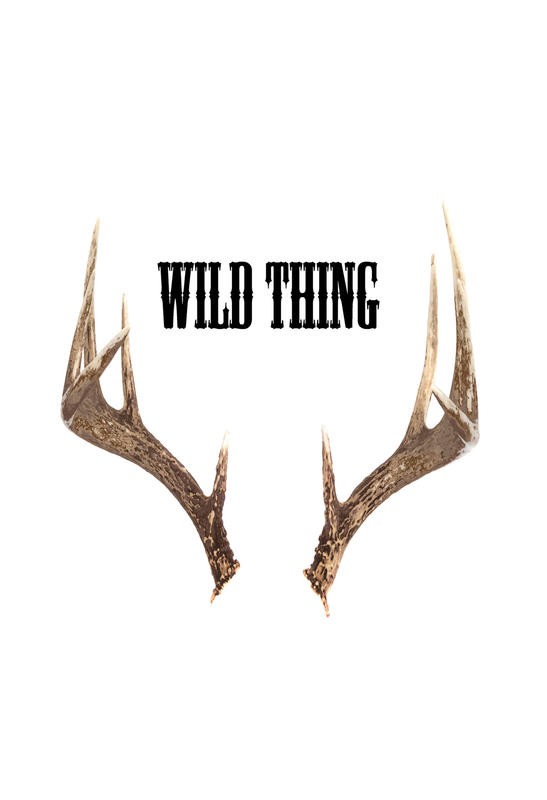 Sheldon Lewis, LONG HORN I (Geweih, Hirschgeweih, Typografie, wild thing, Jugendzimmer, Jagdzimmer, Wunschgröße, Grafik, beige/weiß)