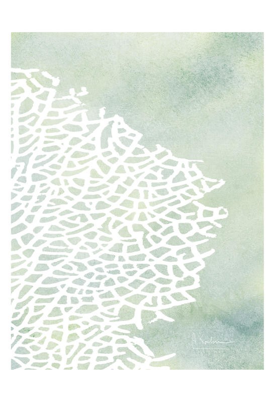 Albert Koetsier, SEA GRASS WHITE I (X-RAY)