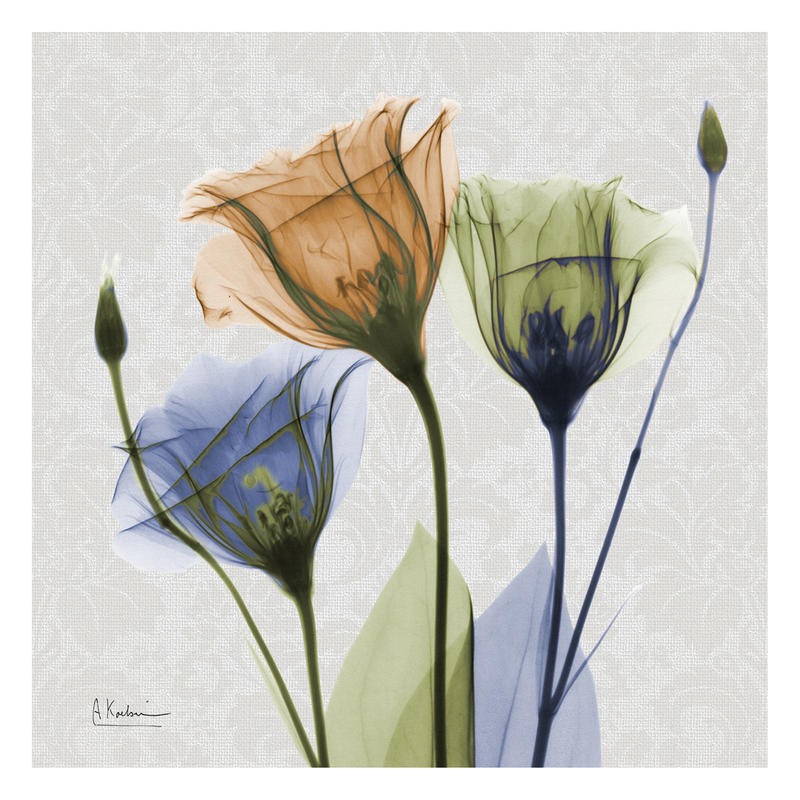 Albert Koetsier, MUTLI FLOWERS II (X-RAY)