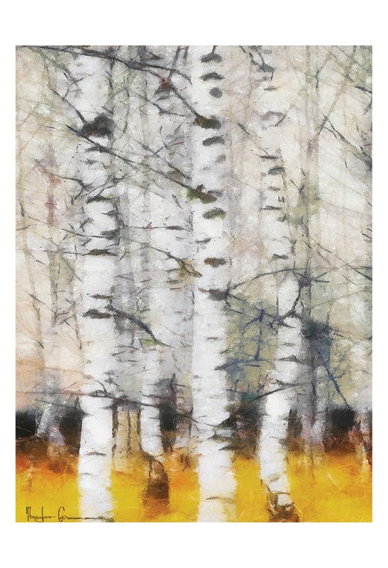 Taylor Greene, BIRCH II (Wald, Bäume, Birken, Stämme, dicht, Wunschgröße, Treppenhaus, Wohnzimmer)