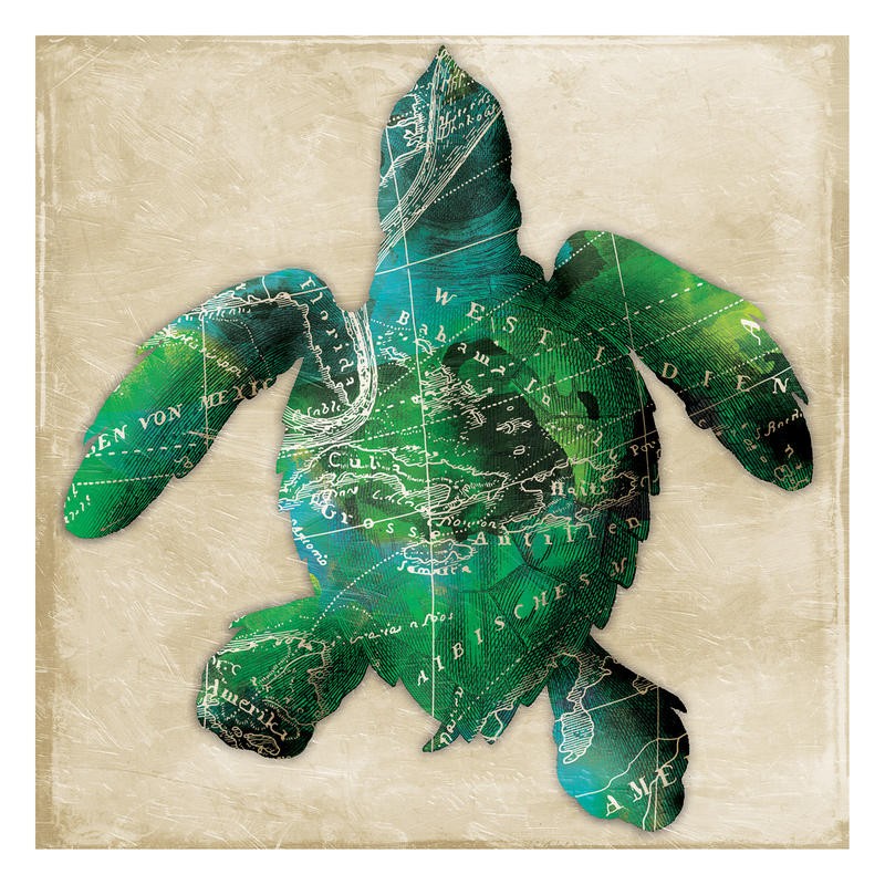 Jace Grey, MAP GREEN TURTLE (MARITIM)