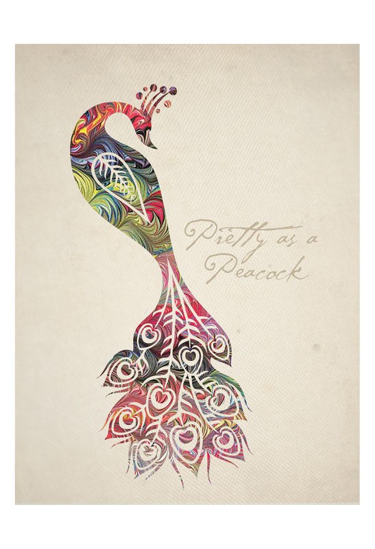 Melody Hogan, COLORFUL PEACOCK II (TIERE)