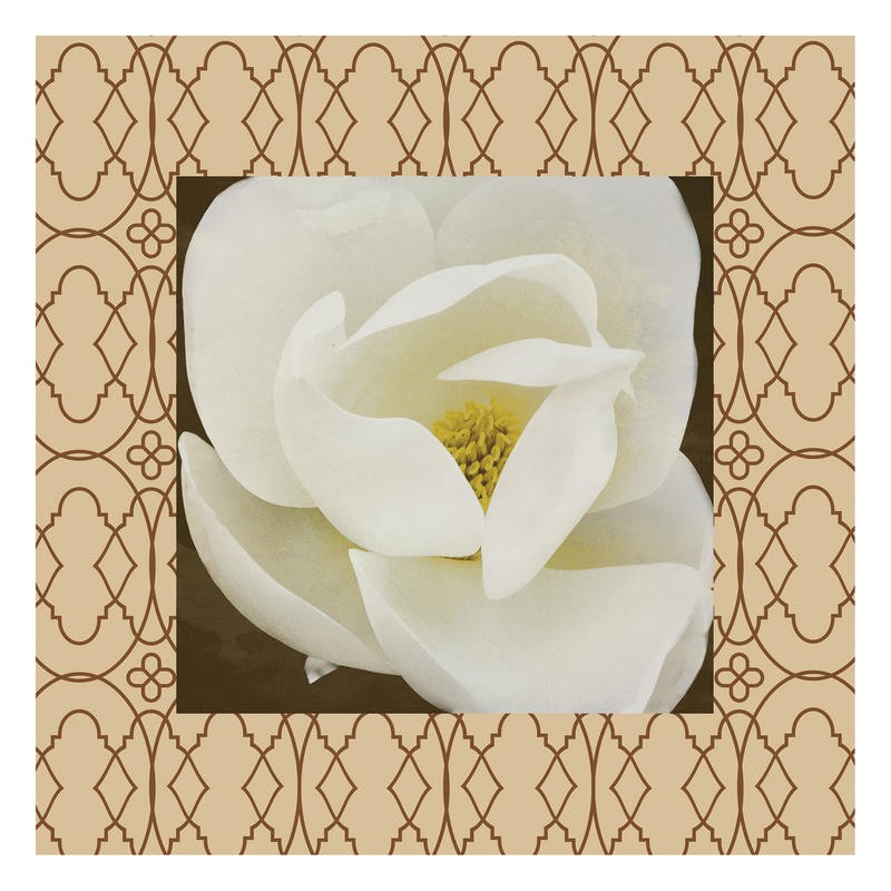 Jace Grey, BROWN BORDER II (BLUMEN)