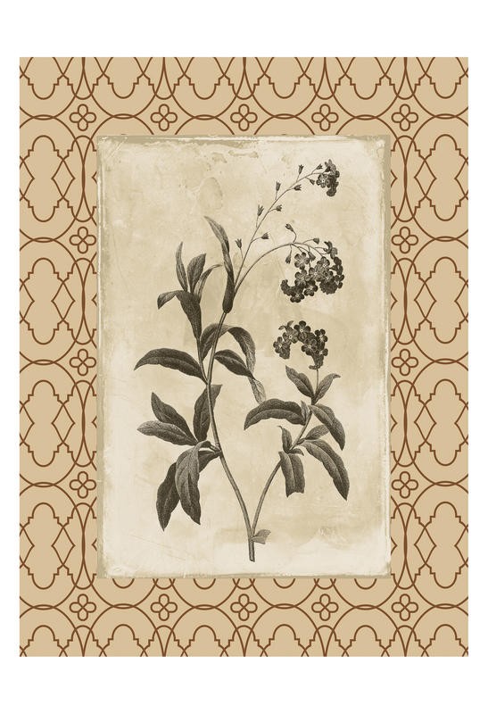 Jace Grey, EARTHY FLORAL BORDERED IV (BOTANIK)